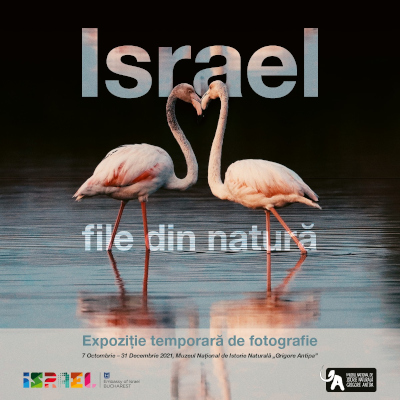„Israel – file din natură” la Muzeul Național de Istorie Naturală „Grigore Antipa”