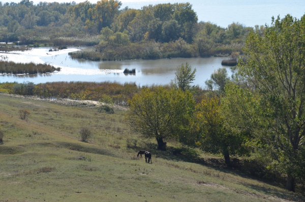 Cehia bănăţeană şi a doua „Deltă a Dunării” ni se dezvăluie la „Exclusiv în România”