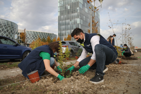 OMV Petrom a plantat un milion de puieți în cadrul „România plantează pentru mâine”, cea mai mare inițiativă privată de împădurire din țară