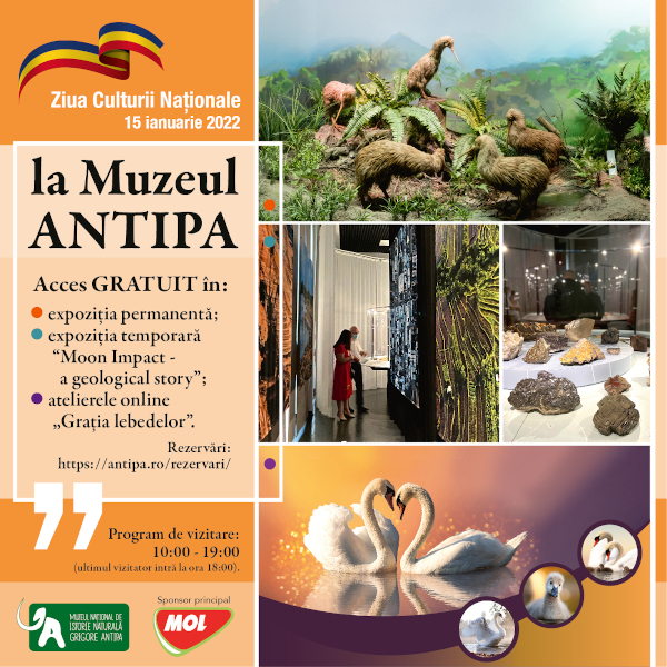 Ziua Culturii Naționale la Muzeul Antipa