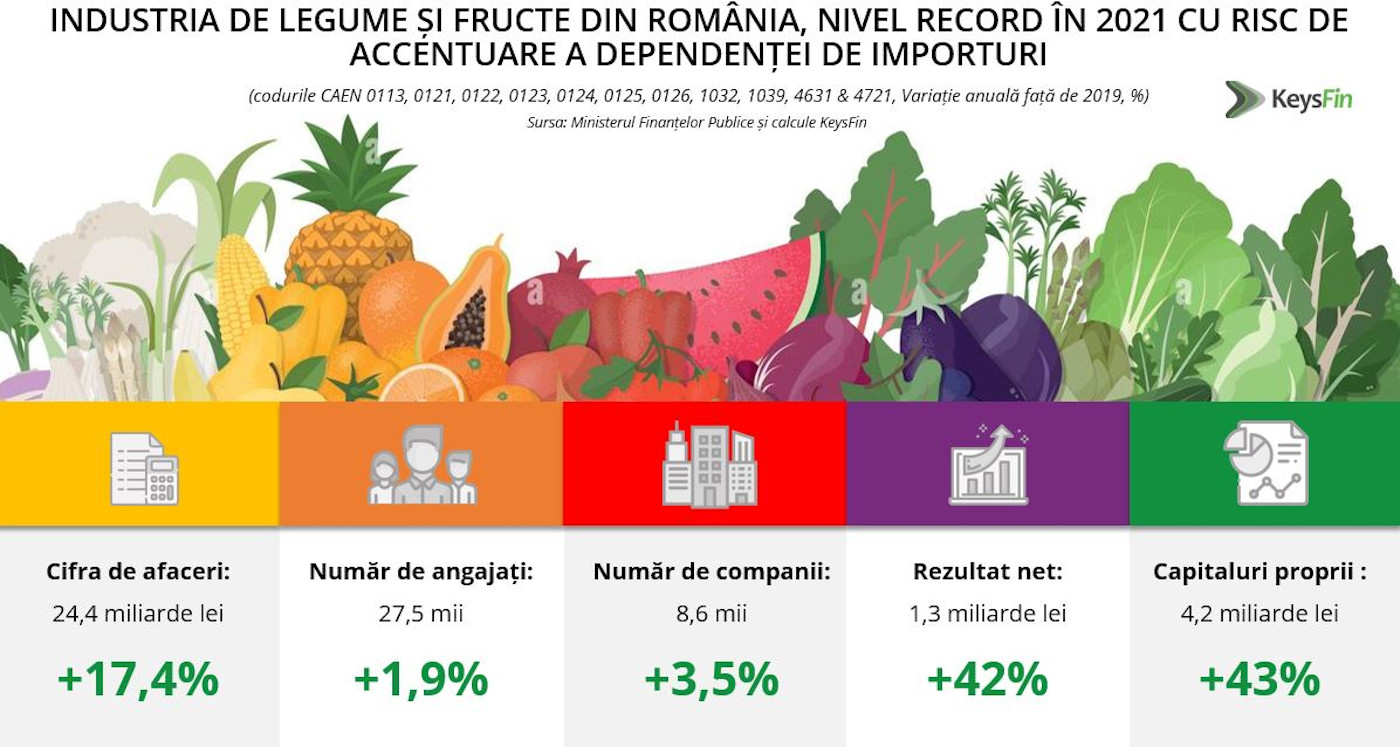 Estimare KeysFin: Industria de legume și fructe din România, nivel record în 2021 cu risc de accentuare a dependenței de importuri