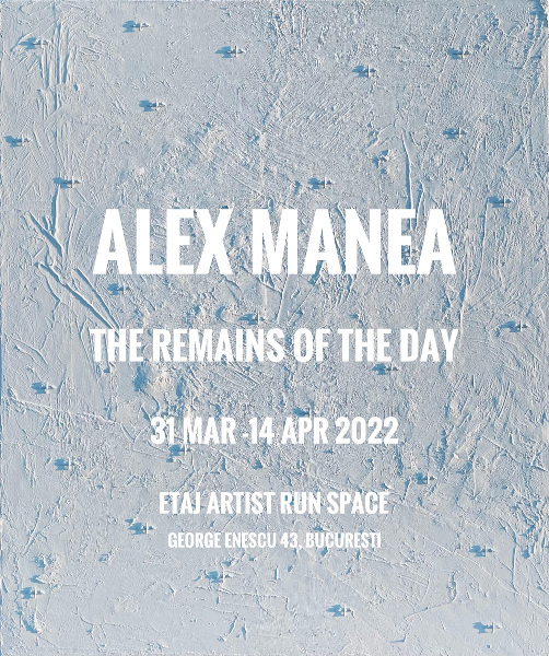 Alex Manea_The Remains of the Day