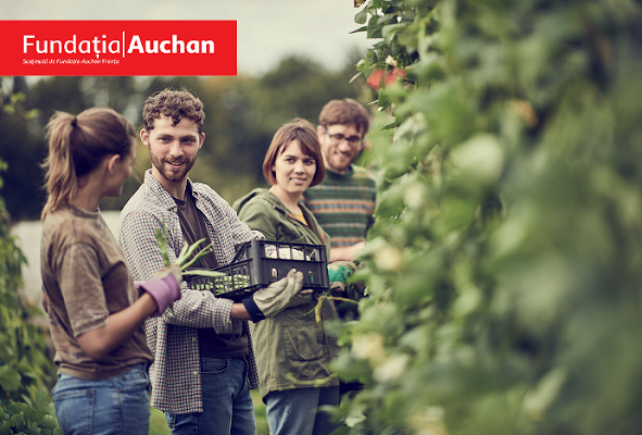 Fundația Auchan alocă peste 110.000 euro pentru 3 ONG-uri din România care promovează accesul la o alimentație sănătoasă