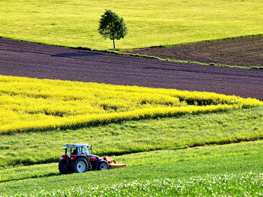 4 avantaje ale utilizării îngrășămintelor complexe în agricultură