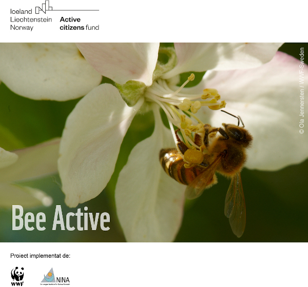 Bee Active. Foto @ Ola Jensen, WWF Sweden
