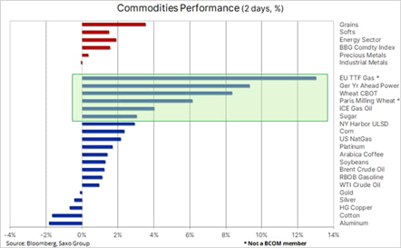 saxo bank commodities performance
