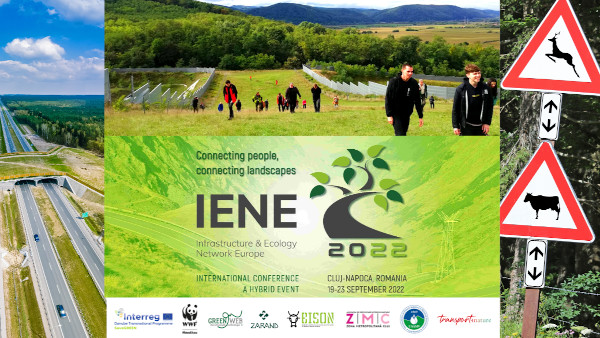 IENE 2022: Cooperare și soluții concrete pentru integrarea biodiversității în sectorul de transport
