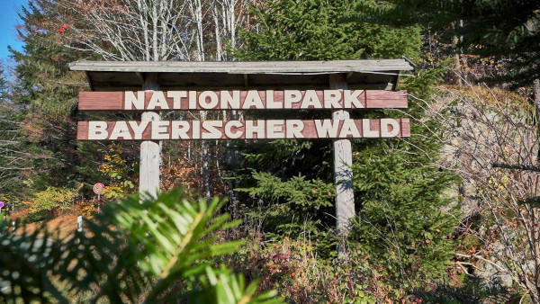 Cel mai mare parc național din Germania susține Fundația Conservation Carpathia, printr-un parteneriat de cooperare
