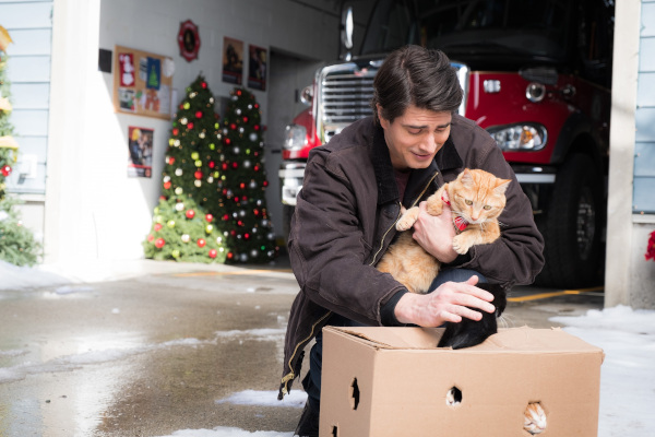 Nouă pisoi de Crăciun (The Nine Kittens of Christmas, 2021)