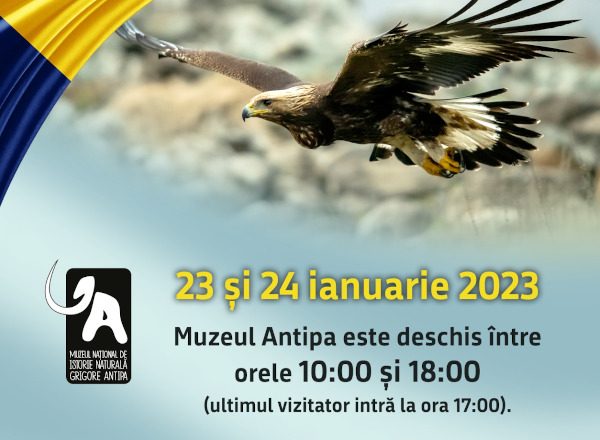 Programul special de vizitare al Muzeului Antipa în zilele de 23 și 24 ianuarie 2023