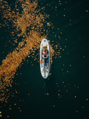 Auraș Mihaiu Stand Up Paddle pe lacul Siriu