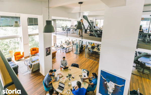 Biroul alternativ: cât plătesc freelancerii și micile afaceri pentru accesul la un spațiu de coworking