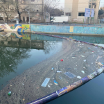 În București a fost instalată prima barieră plutitoare menită să oprească deșeurile de pe râul Dâmbovița