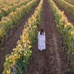 Un vin organic produs de Domeniul Bogdan câștigă o mare medalie de aur în Franța