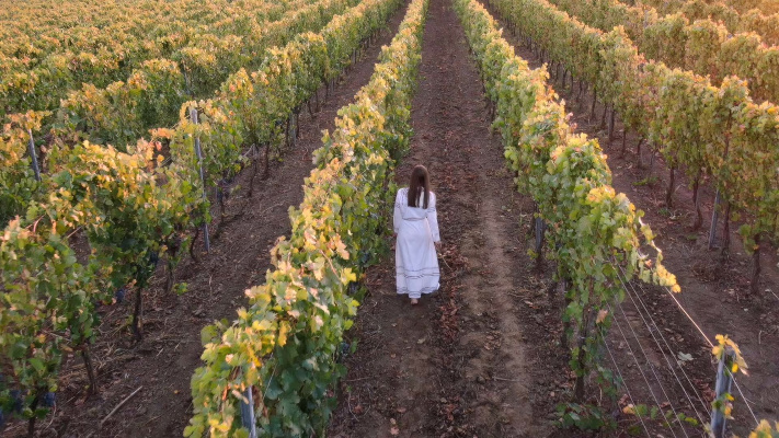 Un vin organic produs de Domeniul Bogdan câștigă o mare medalie de aur în Franța