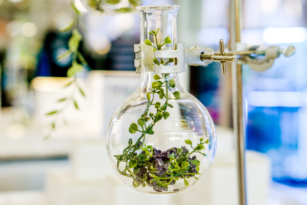 L’Oréal investește într-o companie de biotehnologie, pentru a dezvolta la scară largă ingrediente pe bază de plante pentru o frumusețe sustenabilă