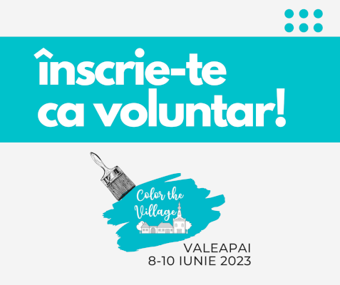Asociația Acasă în Banat dă startul înscrierilor pentru voluntari la Color the Village 2023