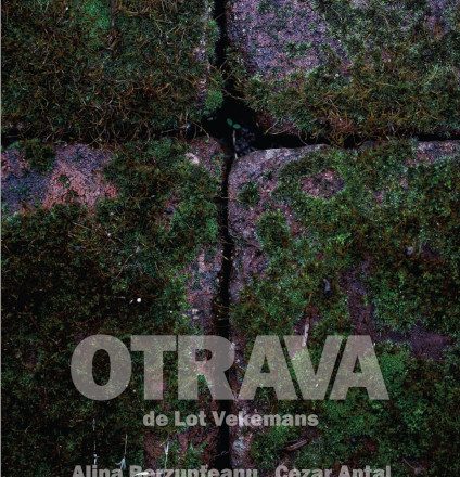 Premieră la unteatru: Otravă, de Lot Vekemans, pentru prima dată pe o scenă din România, în regia lui Toma Dănilă