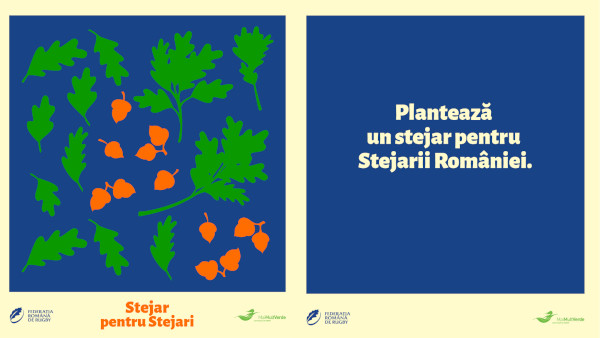Un stejar pentru Stejarii României: Campanie de plantare de copaci în numele echipei naționale de rugby