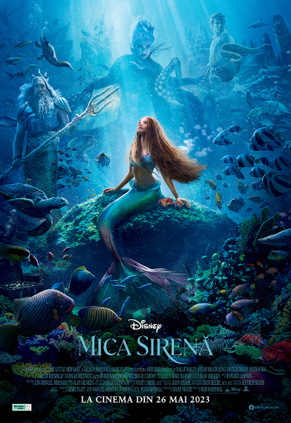 poster Mica Sirena