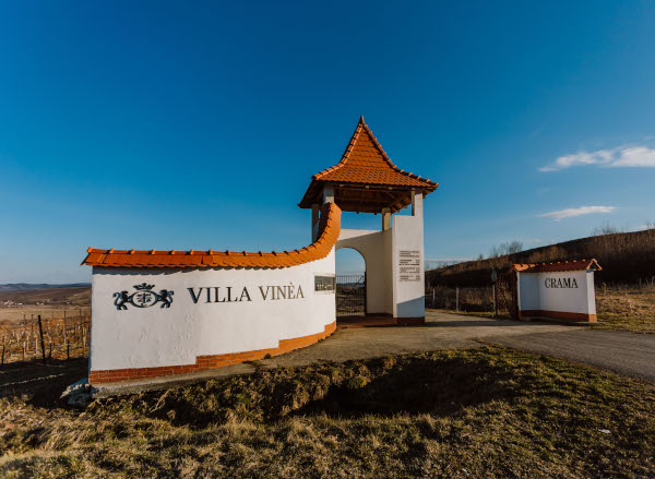 Crama Villa Vinèa a câștigat patru medalii de aur și una de argint la IWCB Vinarium 2023