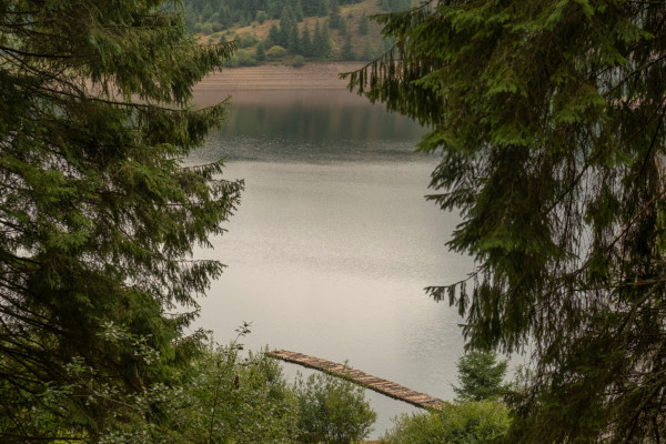Reality show-ul „The Bridge” Ungaria a fost filmat la Lacul Beliș, cu sprijinul echipei Paprika Studios România, în decoruri construite de la zero din materiale ecologice După un format de succes internațional