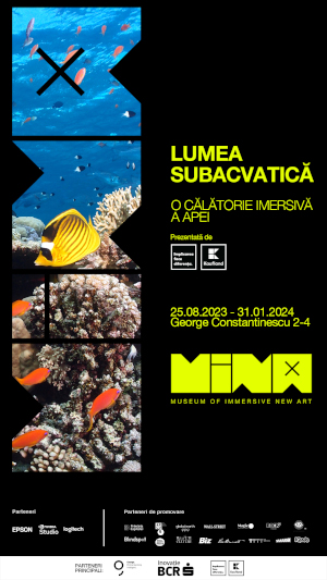 Lumea subacvatica MINA, Museum of Immersive New Art