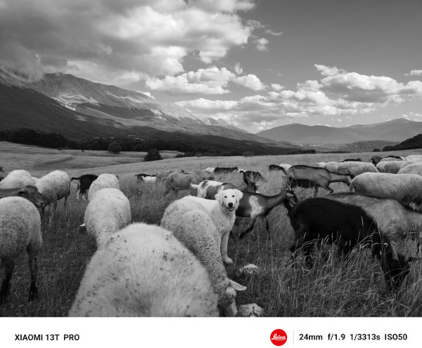 Xiaomi Education lansează proiectul „Story in Sight” pentru a cultiva, prin artă fotografică, următoarea generație de storytelleri vizuali