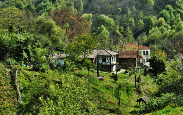 Toamna de la Istanbul le oferă numeroase opțiuni iubitorilor de natură
