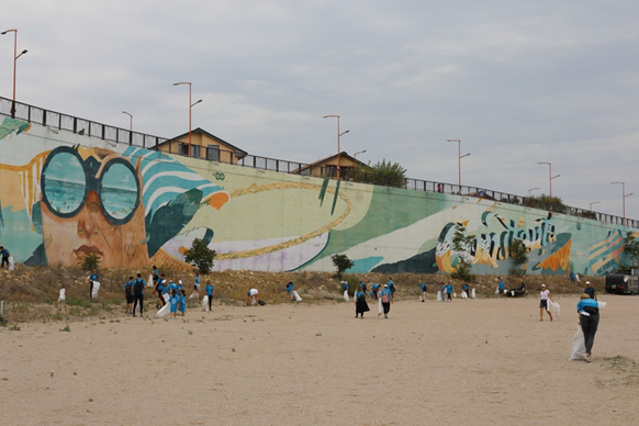 Ecologizare plaja - HP by the Sea