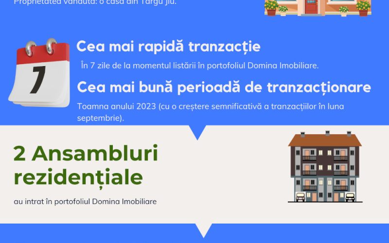 Infografic Domina Imobiliare 2023