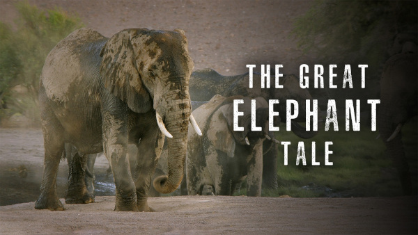 Marea poveste a elefanților -The great elephant tale