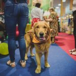 Show de modă canină, concurs de pești exotici, prezentare de rase canine românești și internaționale și ședințe foto gratuite pentru pisici cochete și căței cu stil la PetExpo
