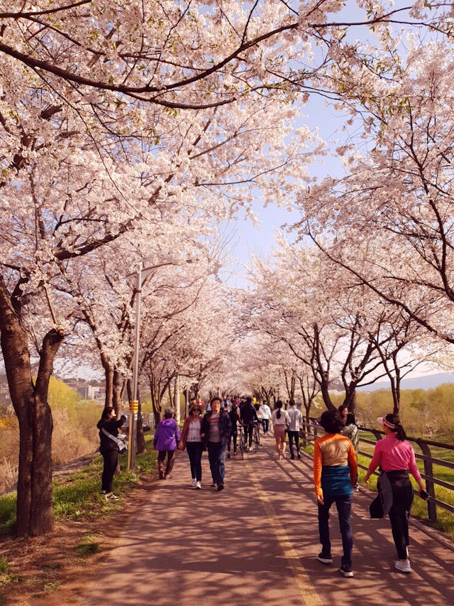 7 idei de plimbări în aer liber pentru această primăvară. Beneficii și idei de gustări sănătoase 