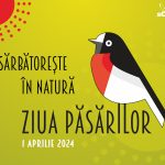 Ieșiți în natură și sărbătoriți Ziua Păsărilor: idei în funcție de oraș