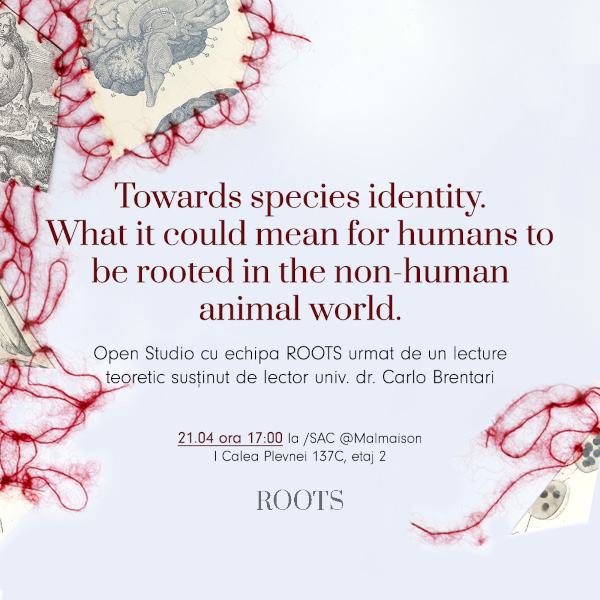 ROOTS_Towards species identity