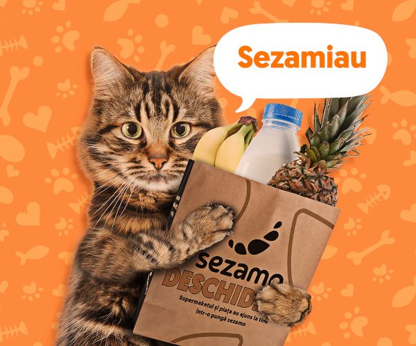Sezamo dezvoltă categoria Pet Shop, cu focus pe pisici
