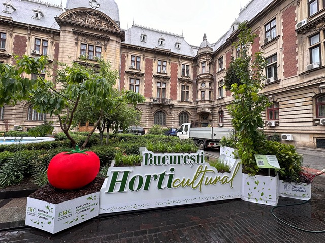 concurs ”București, oraș HORTIcultural”