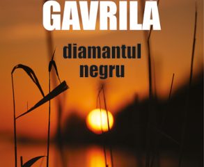 Editura Tritonic anunță lansarea volumului Diamantul negru, captivantul roman de debut al Anei-Maria Gavrilă