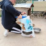 De la angajații Nestlé către animalele fără stăpân: 2.1 tone de hrană pentru animale de la Purina donate adăposturilor din România